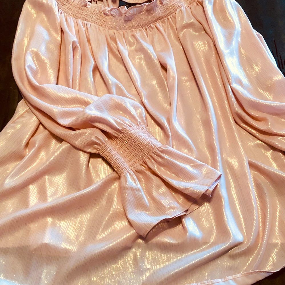 Beautiful shimmering blouse. Never worn